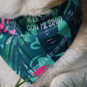 Collar - Talla L
